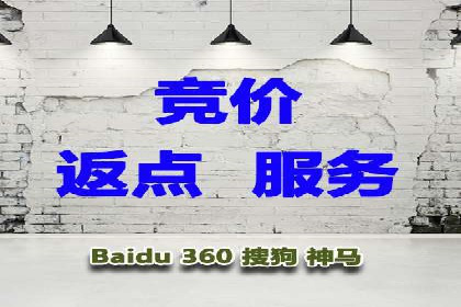 SEM代运营案例分析：精准投放策略解析
